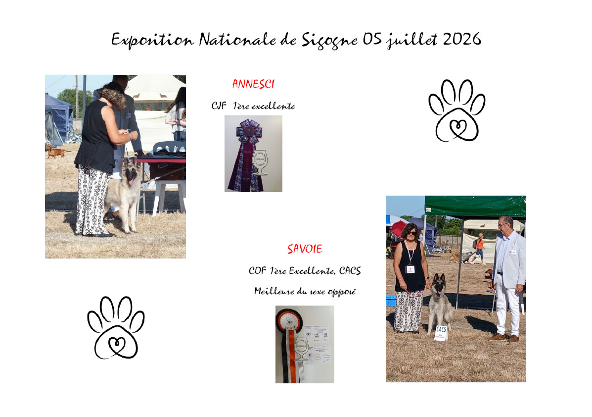 EXPOSITION NATIONALE DE SIGOGNE